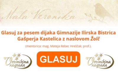 Nagradni pesniški natečaj za srednješolce Mala Veronika 2020 – GLASUJ ZA GAŠPERJA KASTELICA!