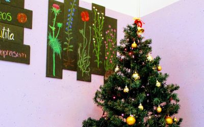 Božično-novoletno drevesce že stoji …